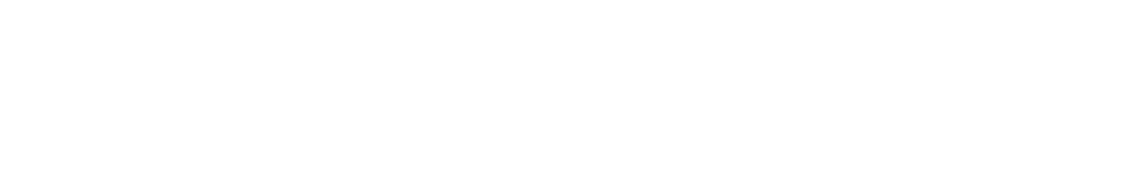 Demirdöküm Logo